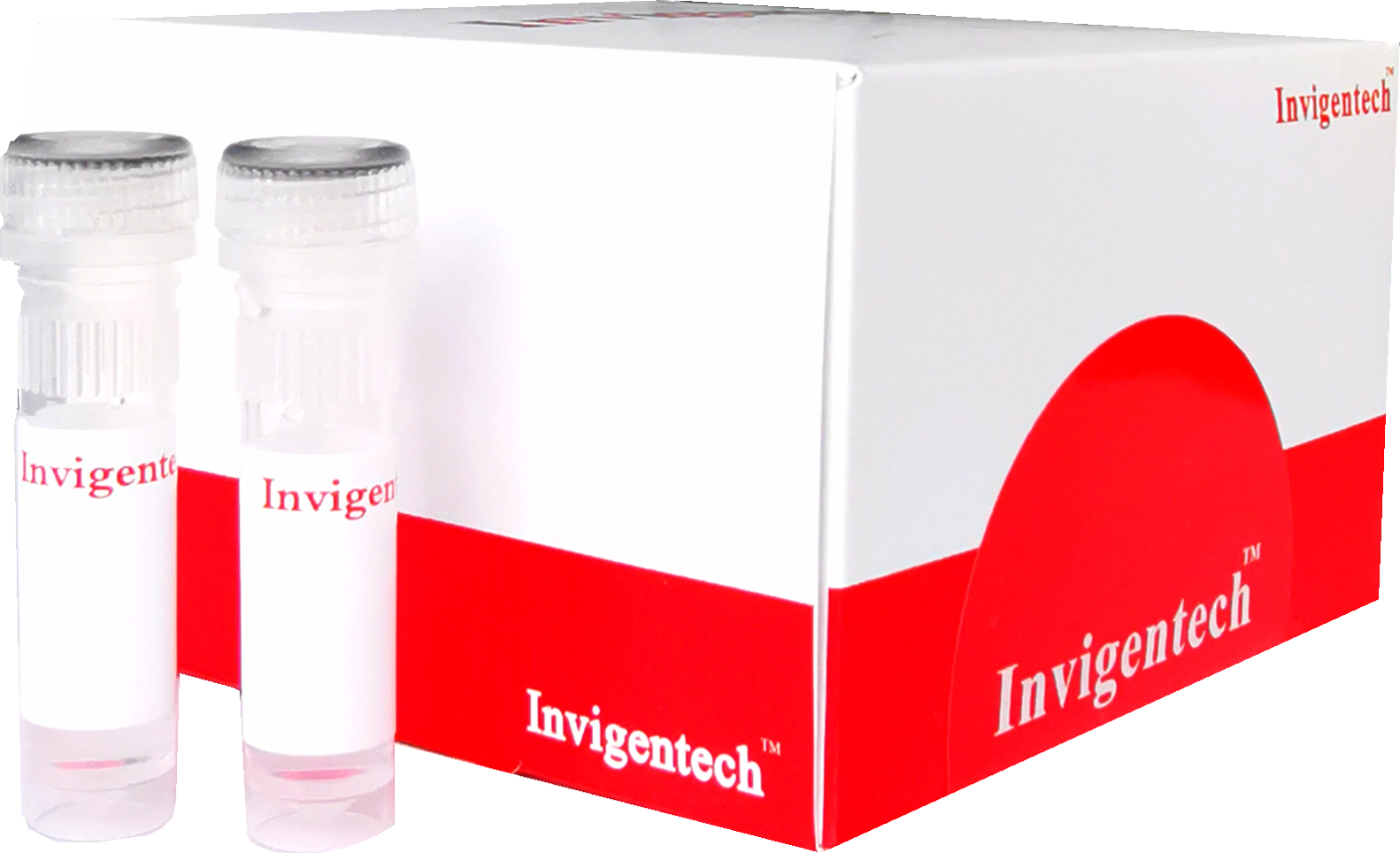 Calcein AMPI cell viability and cytotoxicity detection kitIN0006