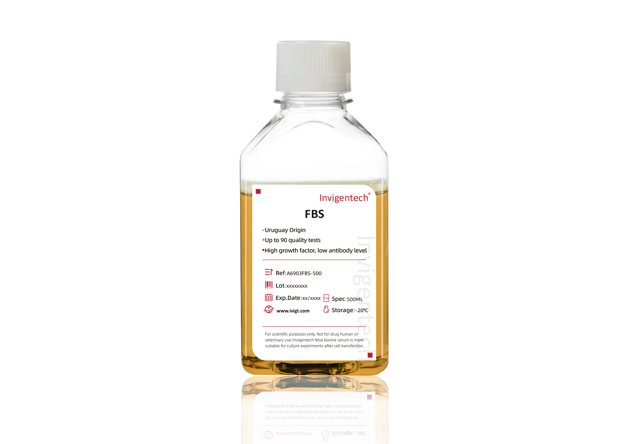 Invigentech Fetal Bovine Serum (FBS) - Uruguay Origin，A6903FBS