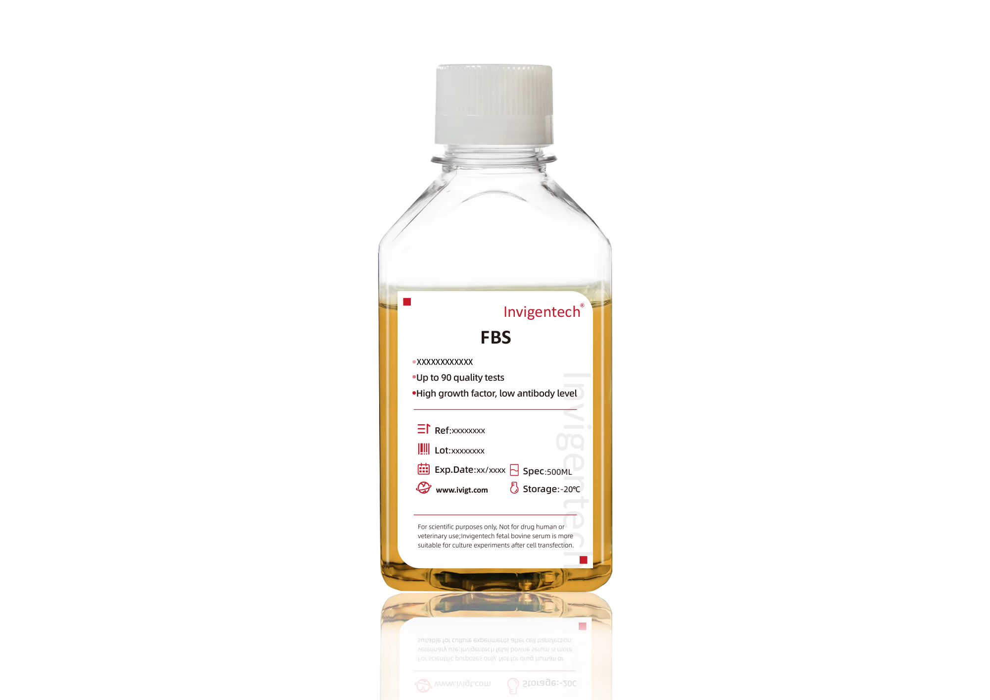 Premium Fetal Bovine Serum,A6912FBS